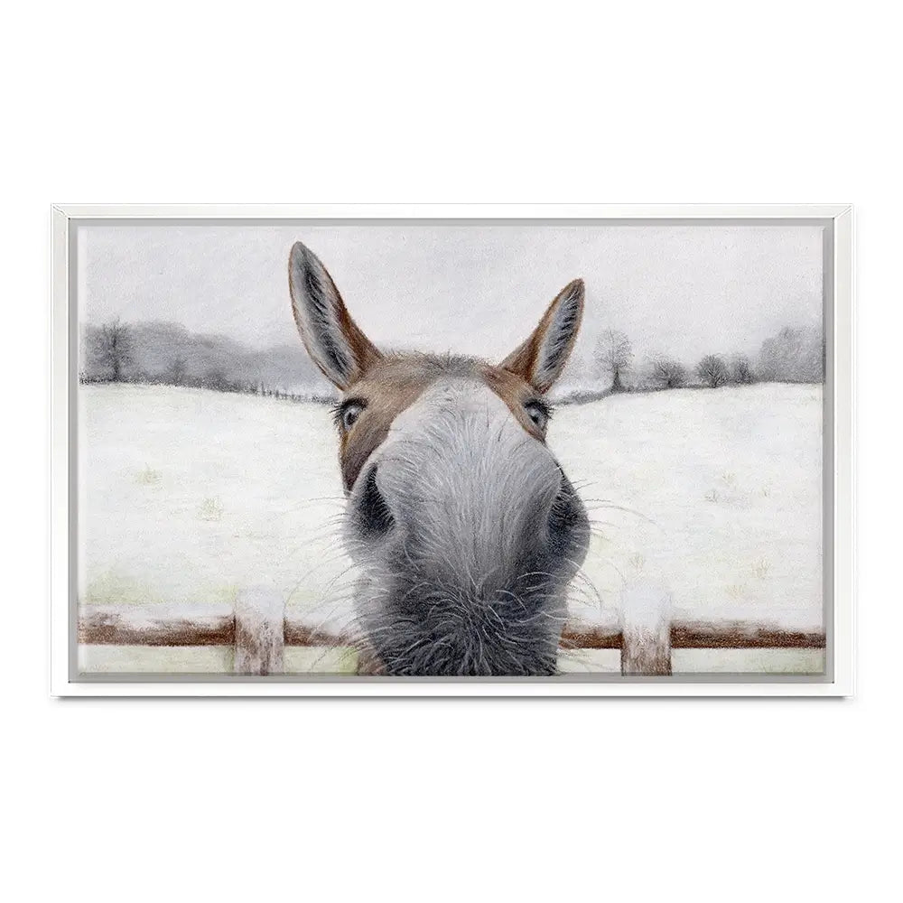 Donkey Over The Fence Canvas Print Donkey Over The Fence Canvas Print wall art product Georgie Turner