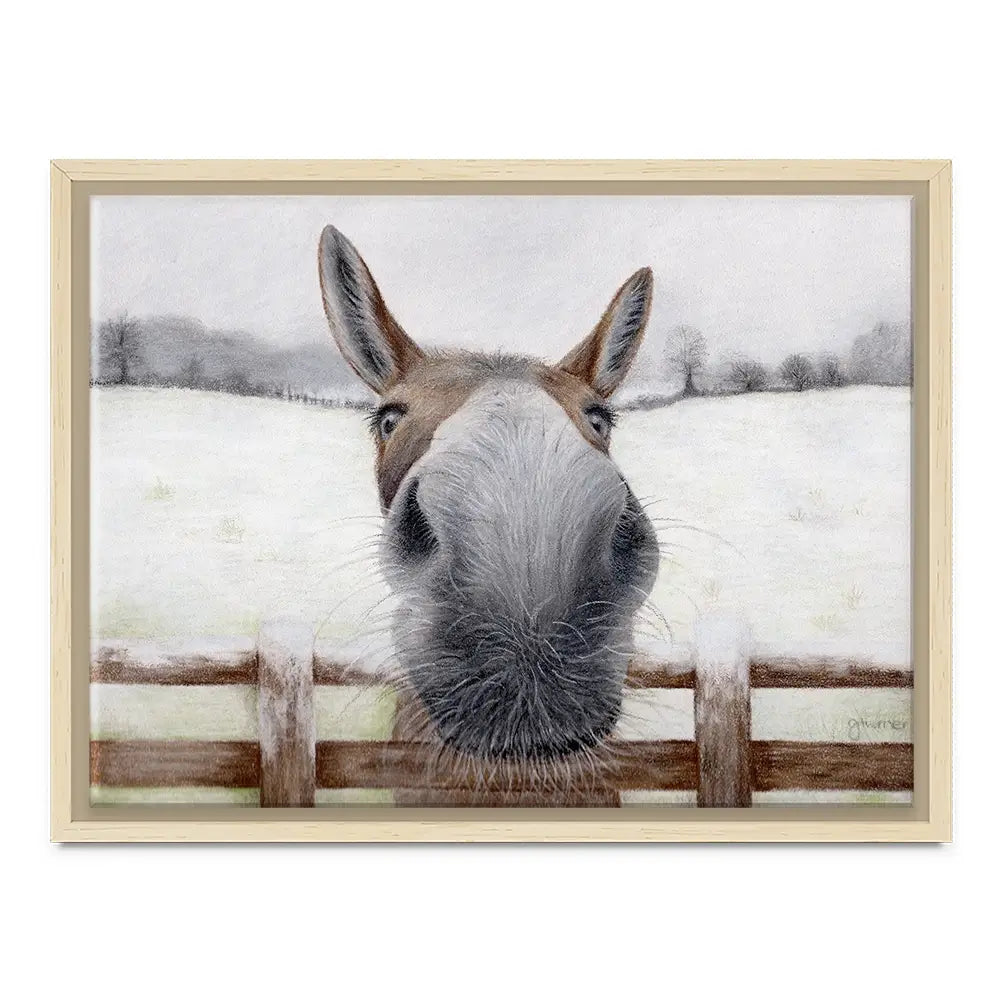 Donkey Over The Fence Canvas Print Donkey Over The Fence Canvas Print wall art product Georgie Turner