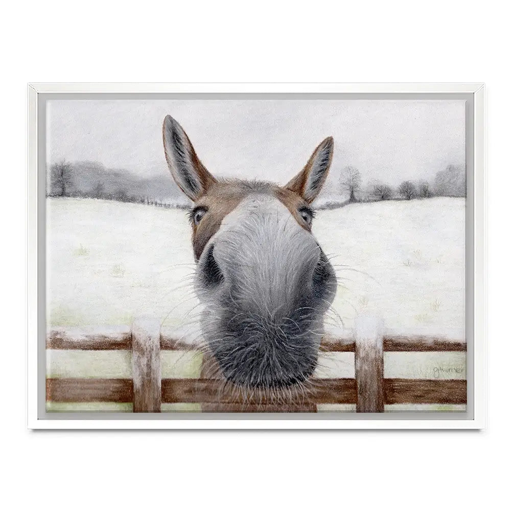 Donkey Over The Fence Canvas Print Donkey Over The Fence Canvas Print wall art product Georgie Turner