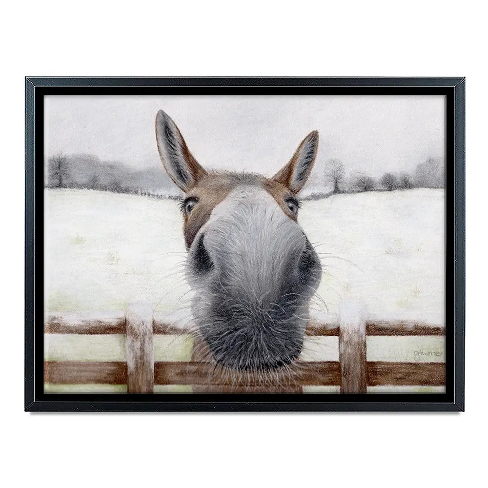 Donkey Over The Fence Canvas Print Donkey Over The Fence Canvas Print wall art product Georgie Turner