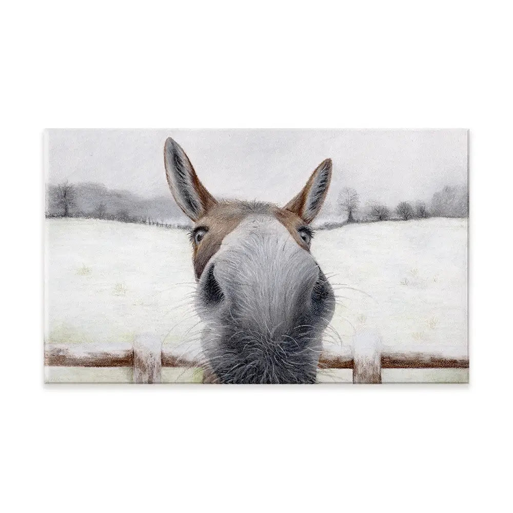 Donkey Over The Fence Canvas Print Donkey Over The Fence Canvas Print wall art product Georgie Turner