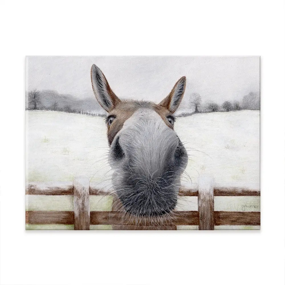 Donkey Over The Fence Canvas Print Donkey Over The Fence Canvas Print wall art product Georgie Turner