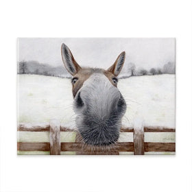 Donkey Over The Fence Canvas Print Donkey Over The Fence Canvas Print wall art product Georgie Turner