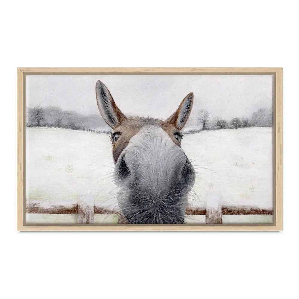 Donkey Over The Fence Canvas Print Donkey Over The Fence Canvas Print wall art product Georgie Turner