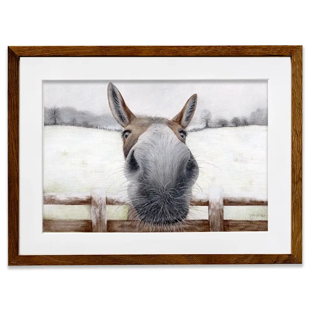 Donkey Over The Fence Framed Art Print Donkey Over The Fence Framed Art Print wall art product Georgie Turner
