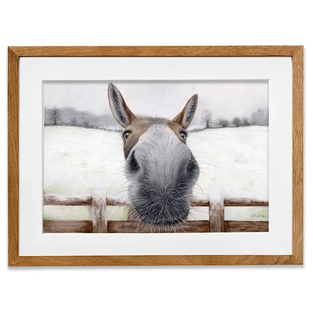 Donkey Over The Fence Framed Art Print Donkey Over The Fence Framed Art Print wall art product Georgie Turner