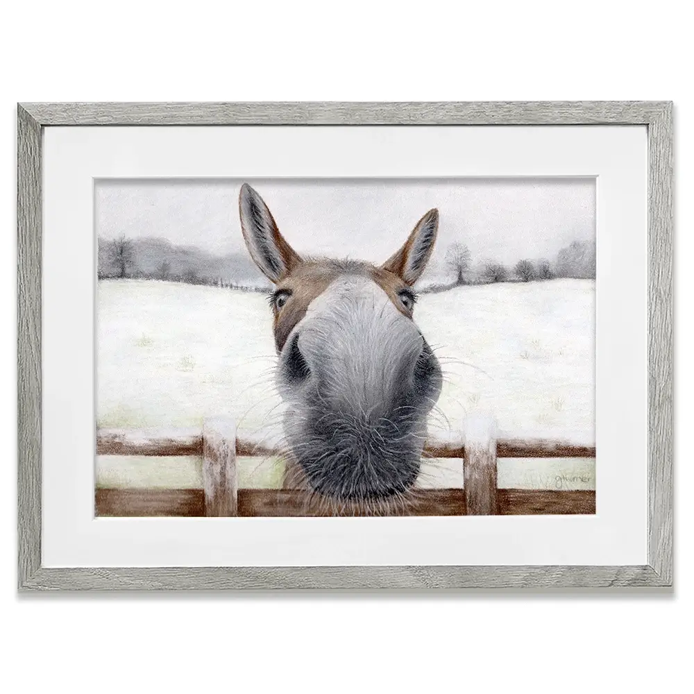 Donkey Over The Fence Framed Art Print Donkey Over The Fence Framed Art Print wall art product Georgie Turner