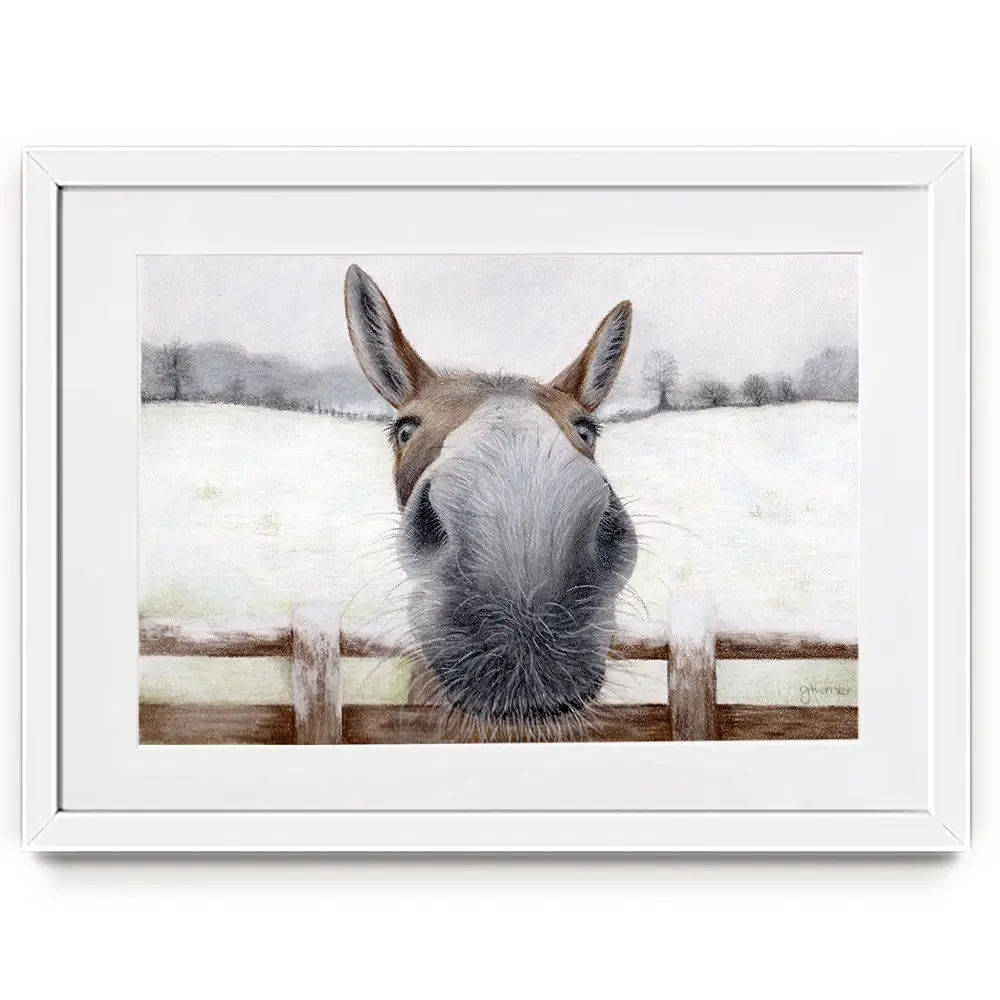Donkey Over The Fence Framed Art Print Donkey Over The Fence Framed Art Print wall art product Georgie Turner