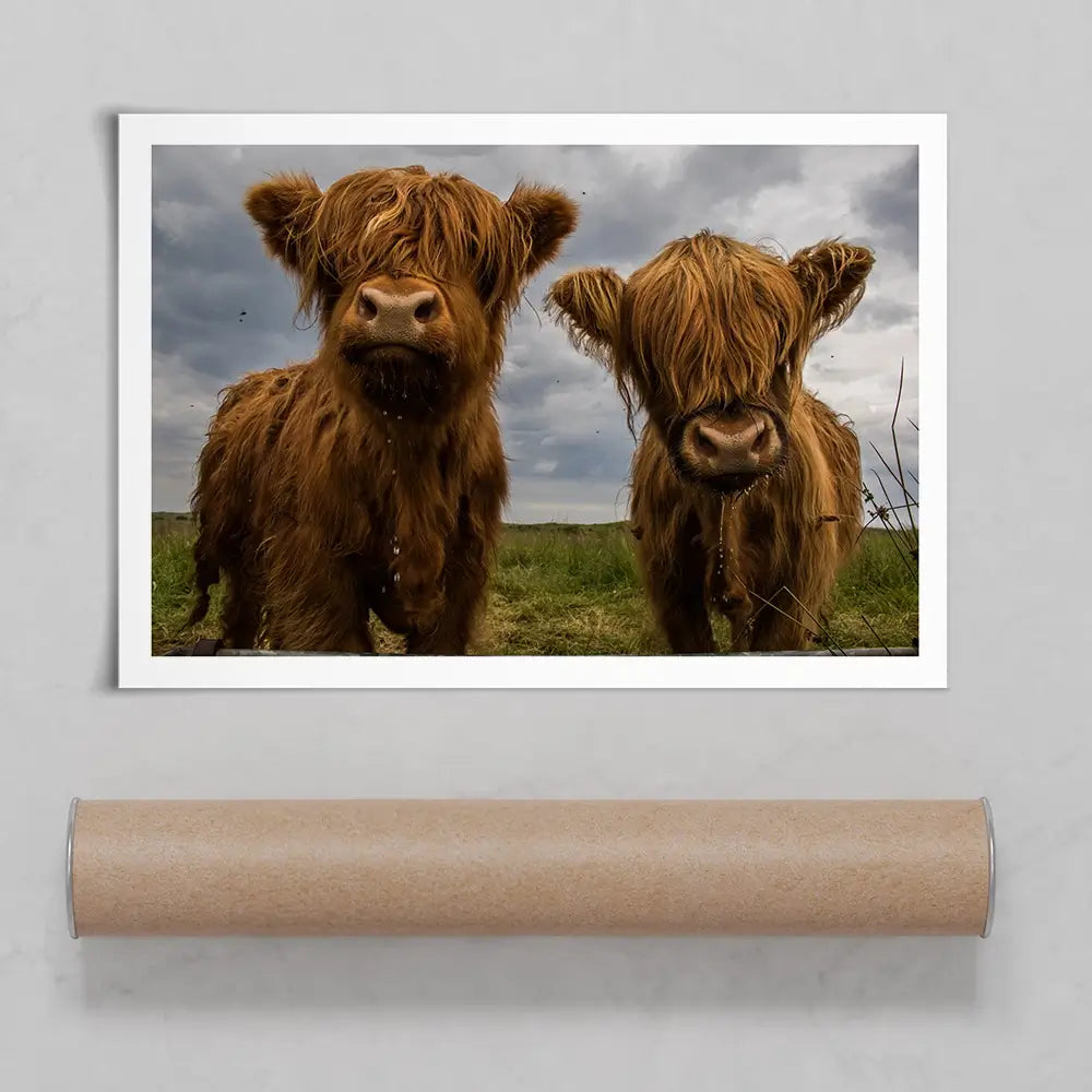 Double Trouble Art Print Double Trouble Art Print wall art product JCurrie / Shutterstock