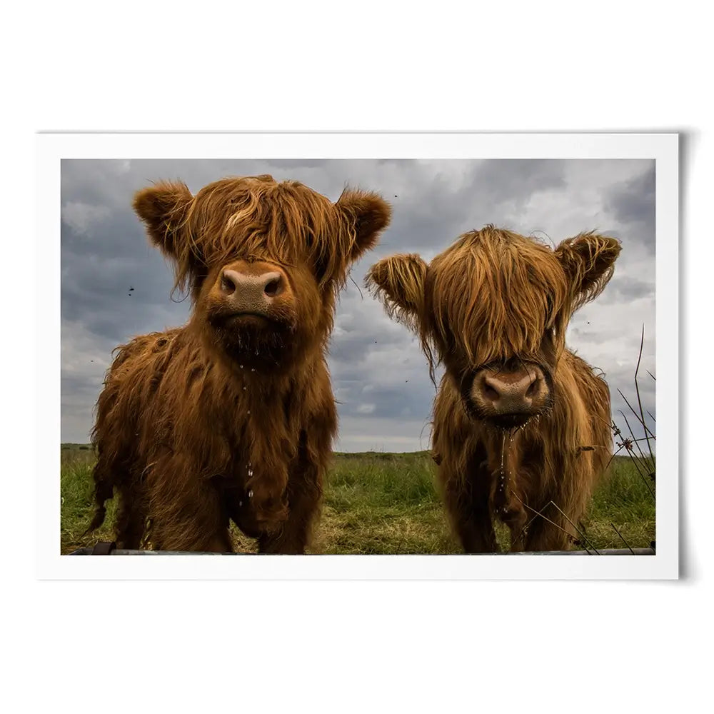 Double Trouble Art Print Double Trouble Art Print wall art product JCurrie / Shutterstock
