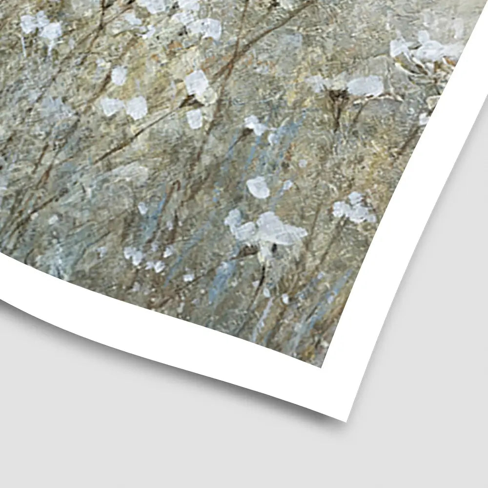 Downy Wildflower Field Art Print Downy Wildflower Field Art Print wall art product Carol Robinson
