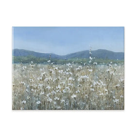Downy Wildflower Field Canvas Print Downy Wildflower Field Canvas Print wall art product Carol Robinson