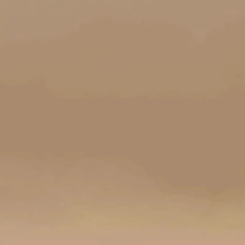 Dry Land Canvas Print Dry Land Canvas Print wall art product Roberto Moro