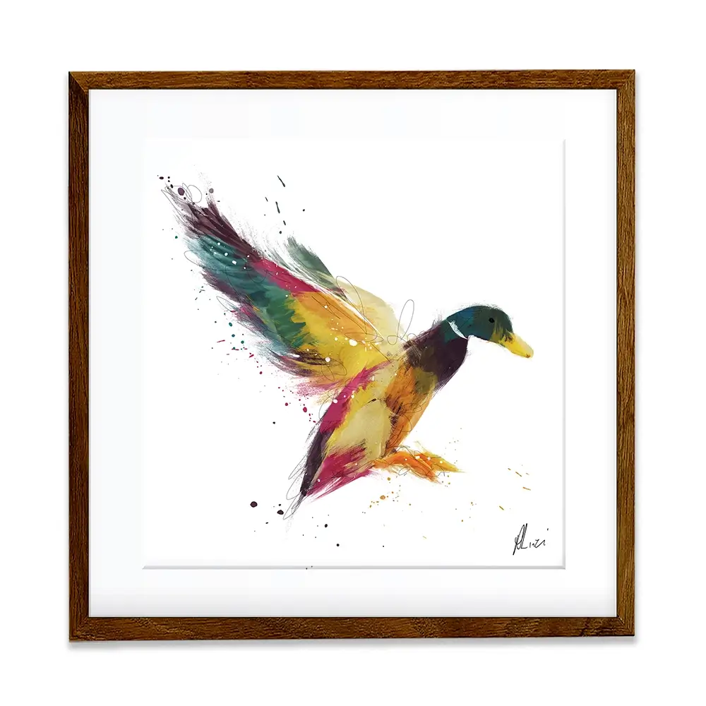 Duck Framed Art Print Duck Framed Art Print wall art product Aimee Linzi