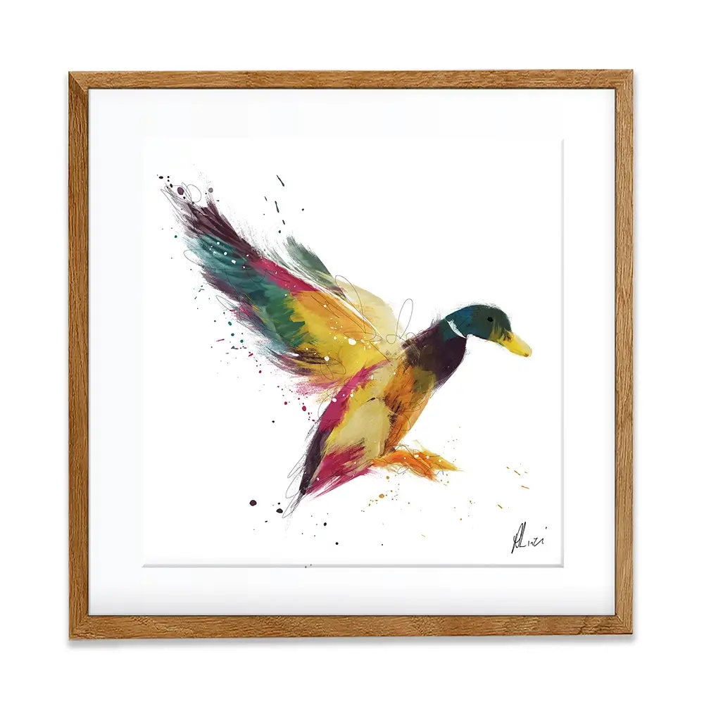 Duck Framed Art Print Duck Framed Art Print wall art product Aimee Linzi