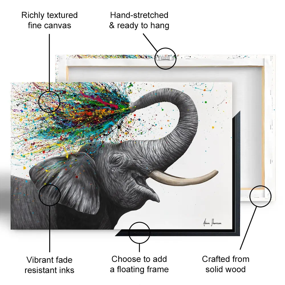 Elephant Elation Canvas Print Elephant Elation Canvas Print wall art product Ashvin Harrison