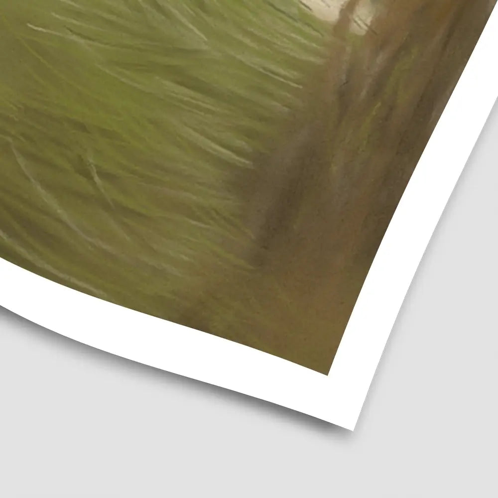 Fallow Fawn Art Print Fallow Fawn Art Print wall art product Georgie Turner