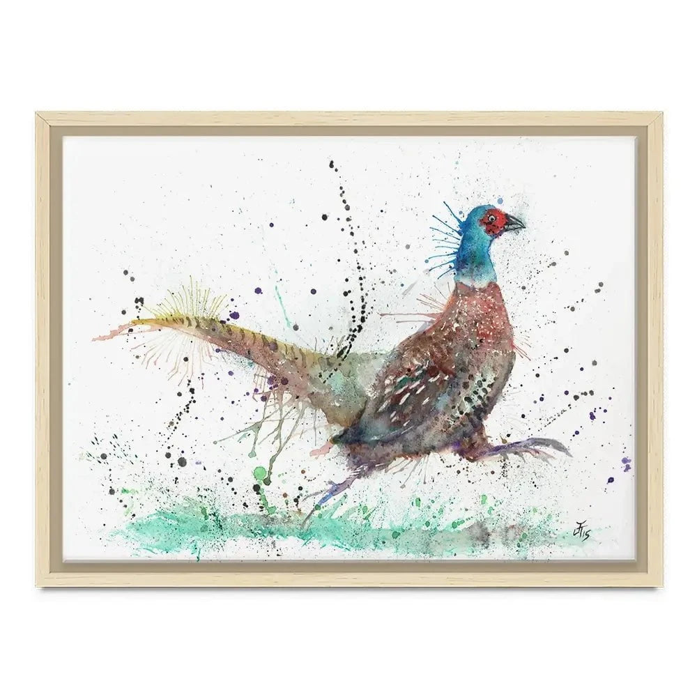 Fez The Pheasant Canvas Print Fez The Pheasant Canvas Print wall art product Jamie Taylor