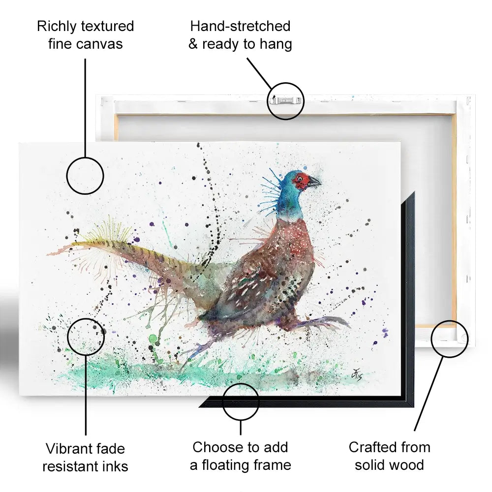 Fez The Pheasant Canvas Print Fez The Pheasant Canvas Print wall art product Jamie Taylor