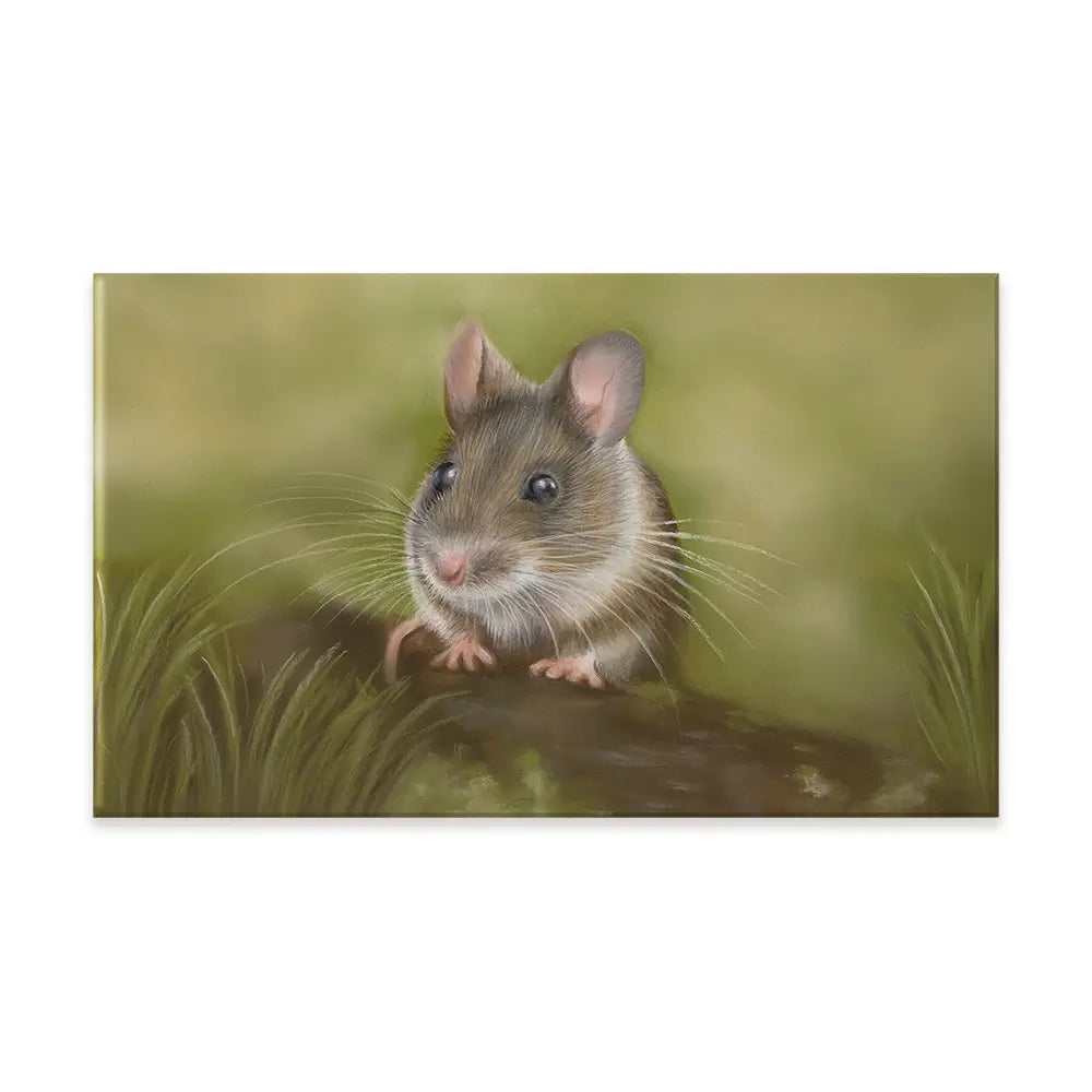 Field Mouse Canvas Print Field Mouse Canvas Print wall art product Georgie Turner