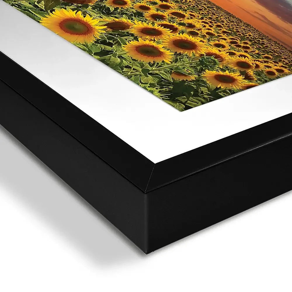 Field Of Blooming Sunflowers Framed Art Print Field Of Blooming Sunflowers Framed Art Print wall art product gornjak / Shutterstock