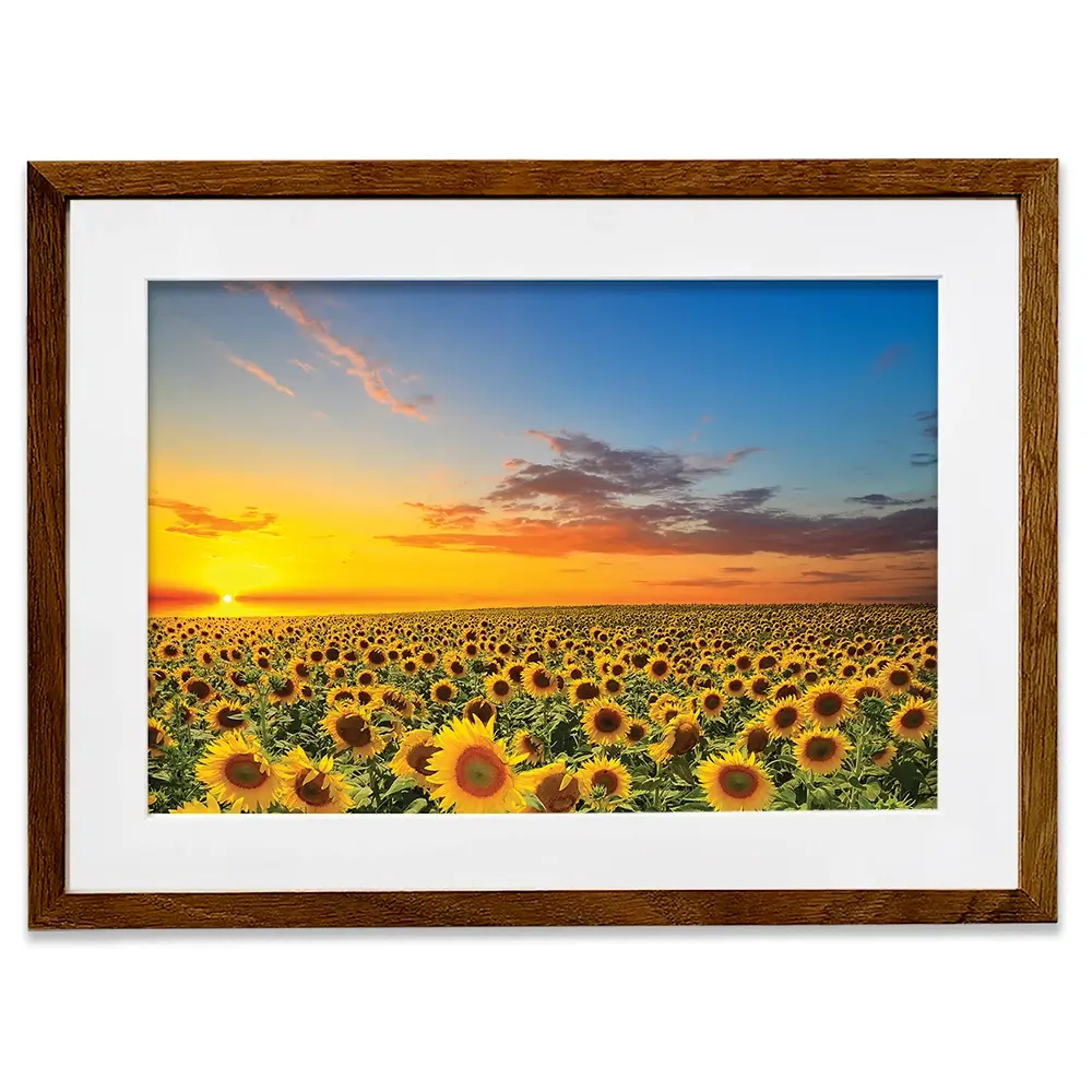 Field Of Blooming Sunflowers Framed Art Print Field Of Blooming Sunflowers Framed Art Print wall art product gornjak / Shutterstock