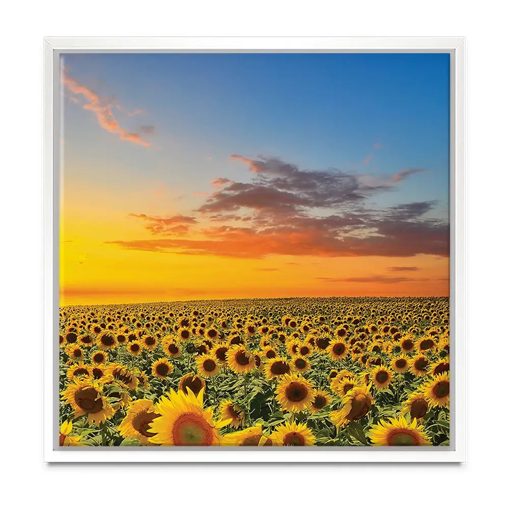 Field Of Blooming Sunflowers Oversized Canvas Print Field Of Blooming Sunflowers Oversized Canvas Print wall art product Art Print Shop