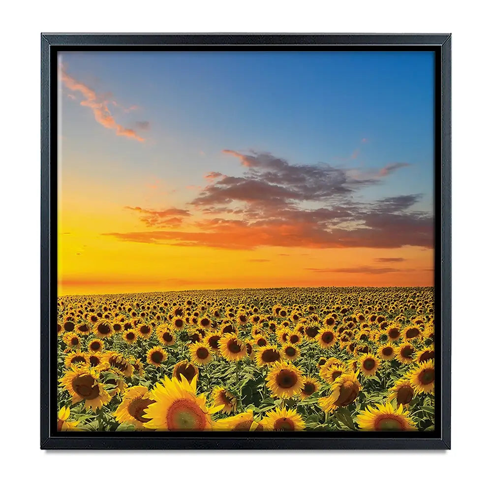 Field Of Blooming Sunflowers Oversized Canvas Print Field Of Blooming Sunflowers Oversized Canvas Print wall art product Art Print Shop