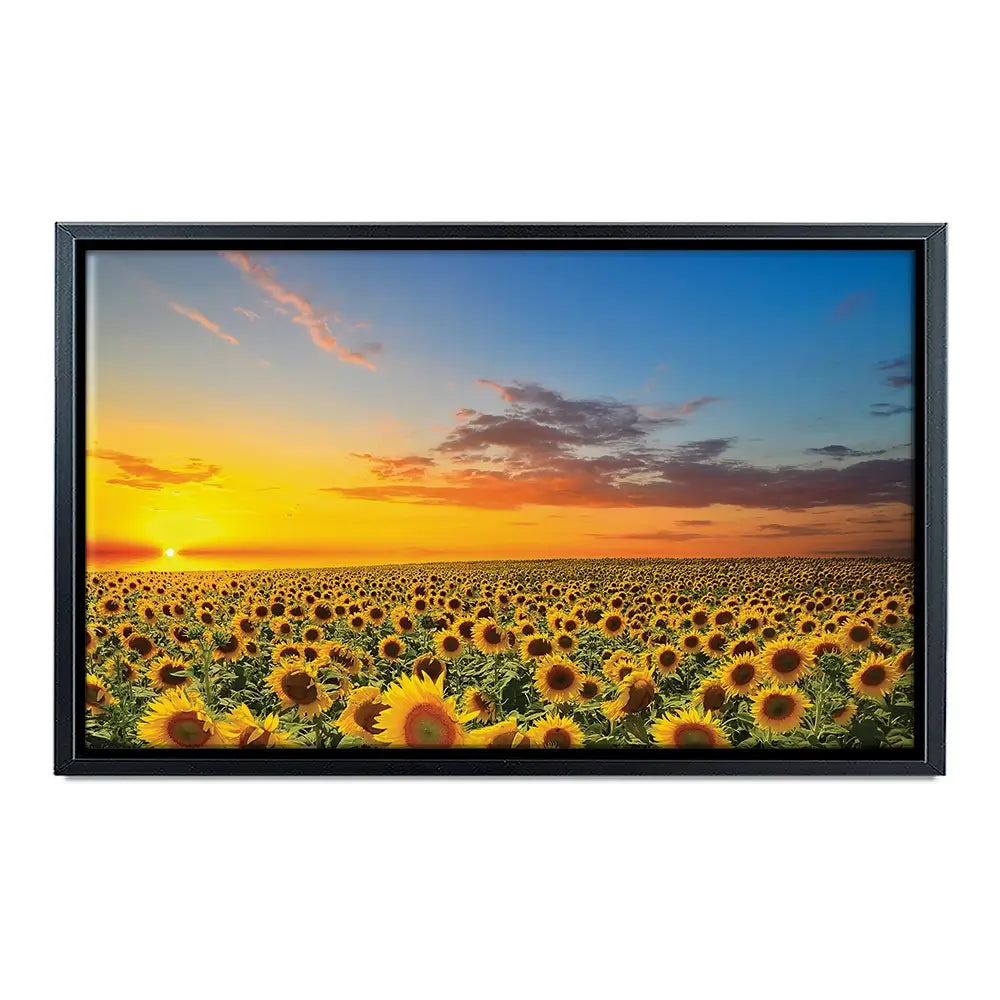 Field Of Blooming Sunflowers Oversized Canvas Print Field Of Blooming Sunflowers Oversized Canvas Print wall art product Art Print Shop
