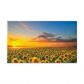 Field Of Blooming Sunflowers Oversized Canvas Print Field Of Blooming Sunflowers Oversized Canvas Print wall art product Art Print Shop