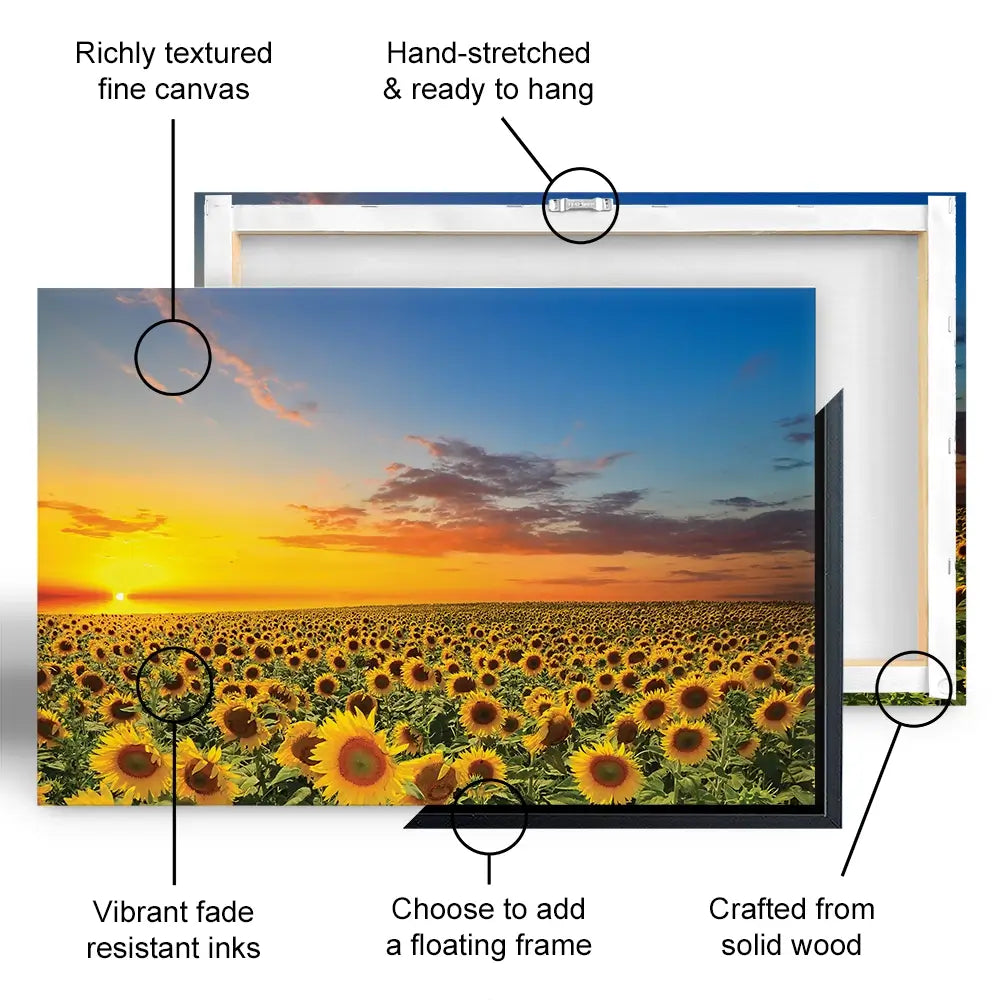 Field Of Blooming Sunflowers Oversized Canvas Print Field Of Blooming Sunflowers Oversized Canvas Print wall art product gornjak / Shutterstock