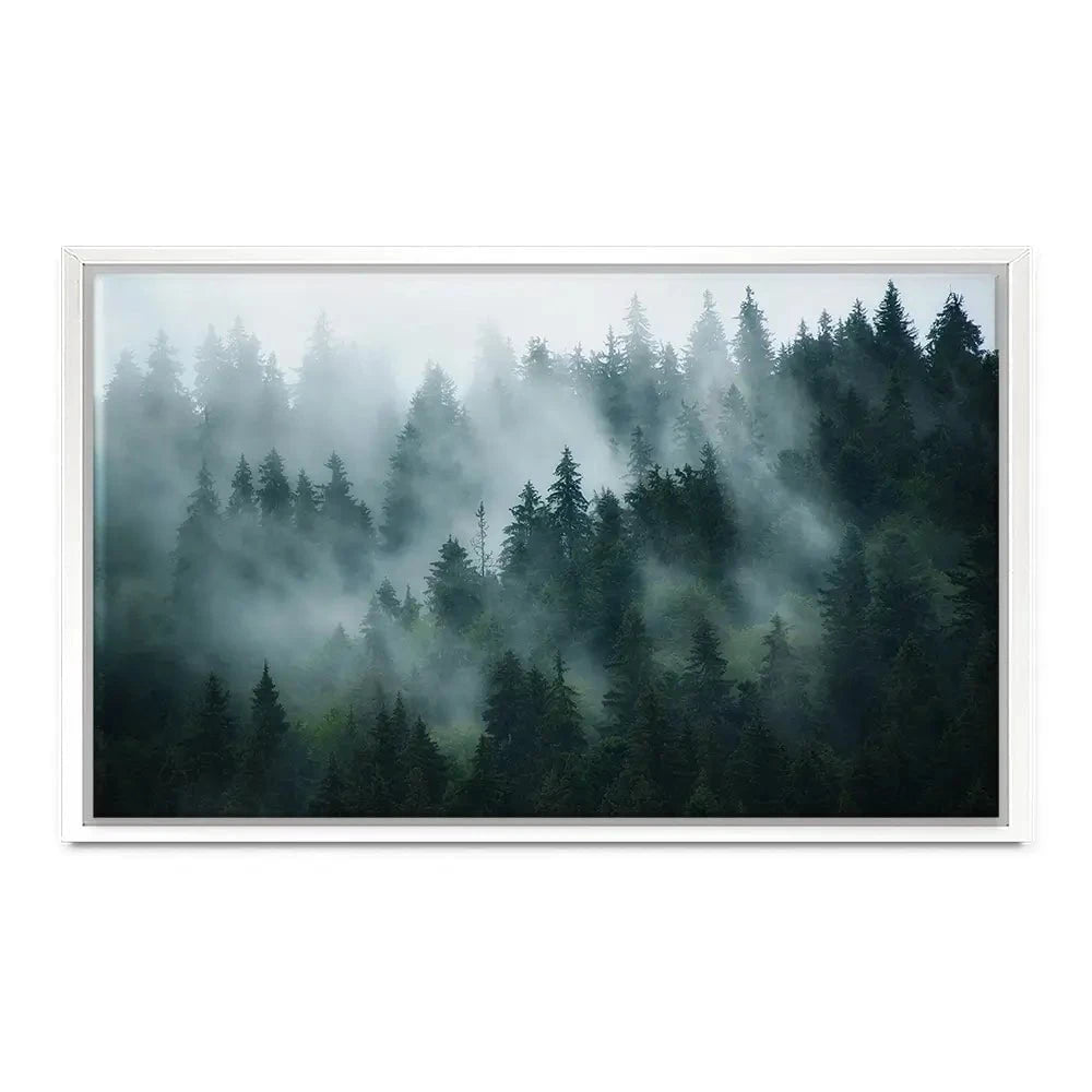 Fir Forest Canvas Print Fir Forest Canvas Print wall art product Roxana Bashyrova / Shutterstock