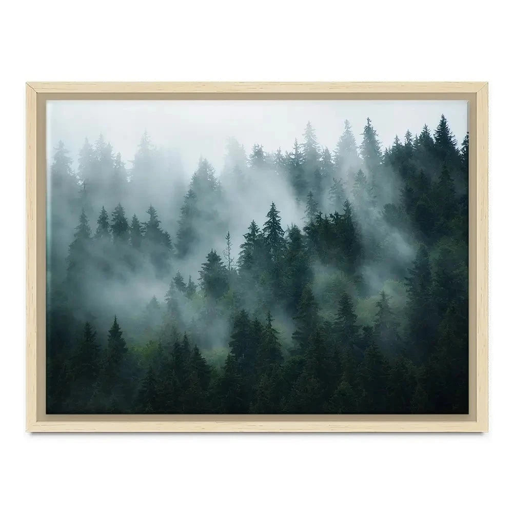 Fir Forest Canvas Print Fir Forest Canvas Print wall art product Roxana Bashyrova / Shutterstock