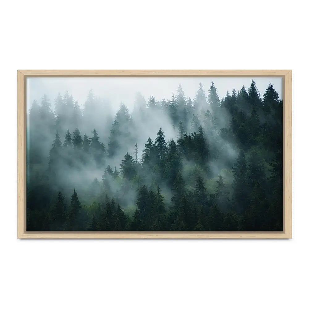 Fir Forest Oversized Canvas Print Fir Forest Oversized Canvas Print wall art product Art Print Shop