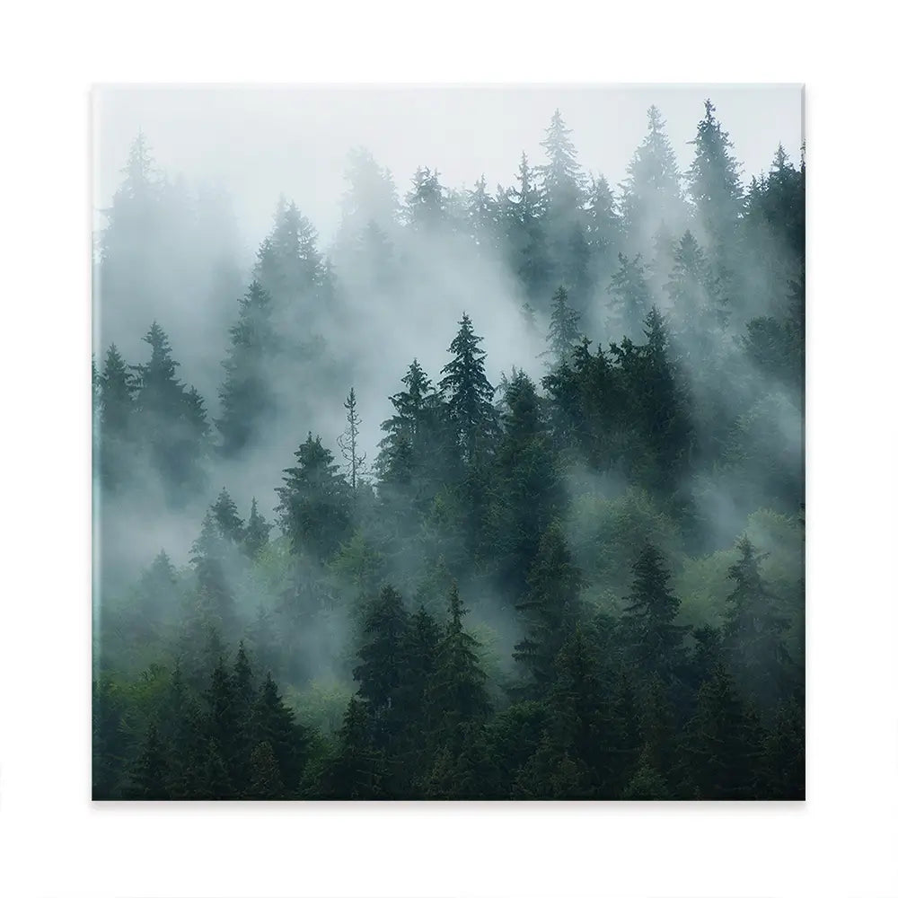 Fir Forest Oversized Canvas Print Fir Forest Oversized Canvas Print wall art product Art Print Shop