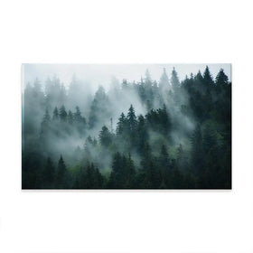 Fir Forest Oversized Canvas Print Fir Forest Oversized Canvas Print wall art product Art Print Shop