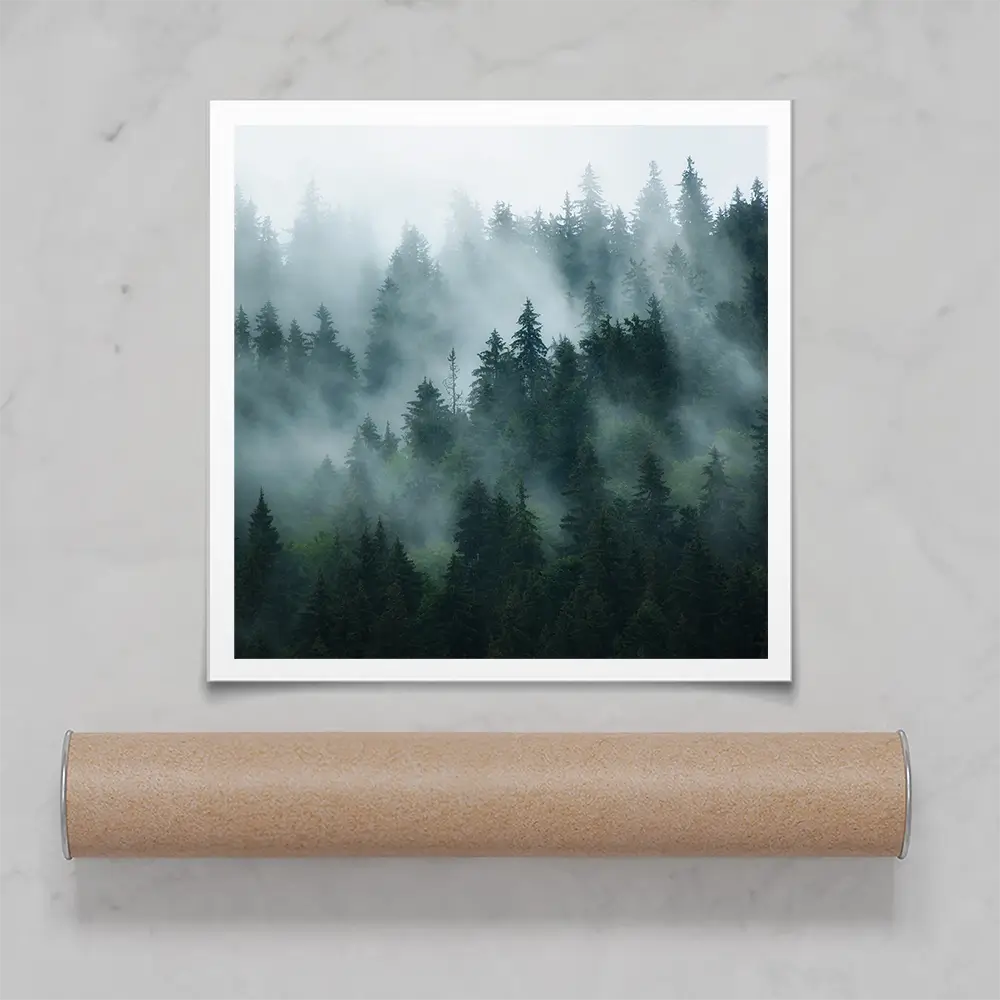 Fir Forest Square Art Print Fir Forest Square Art Print wall art product Roxana Bashyrova / Shutterstock