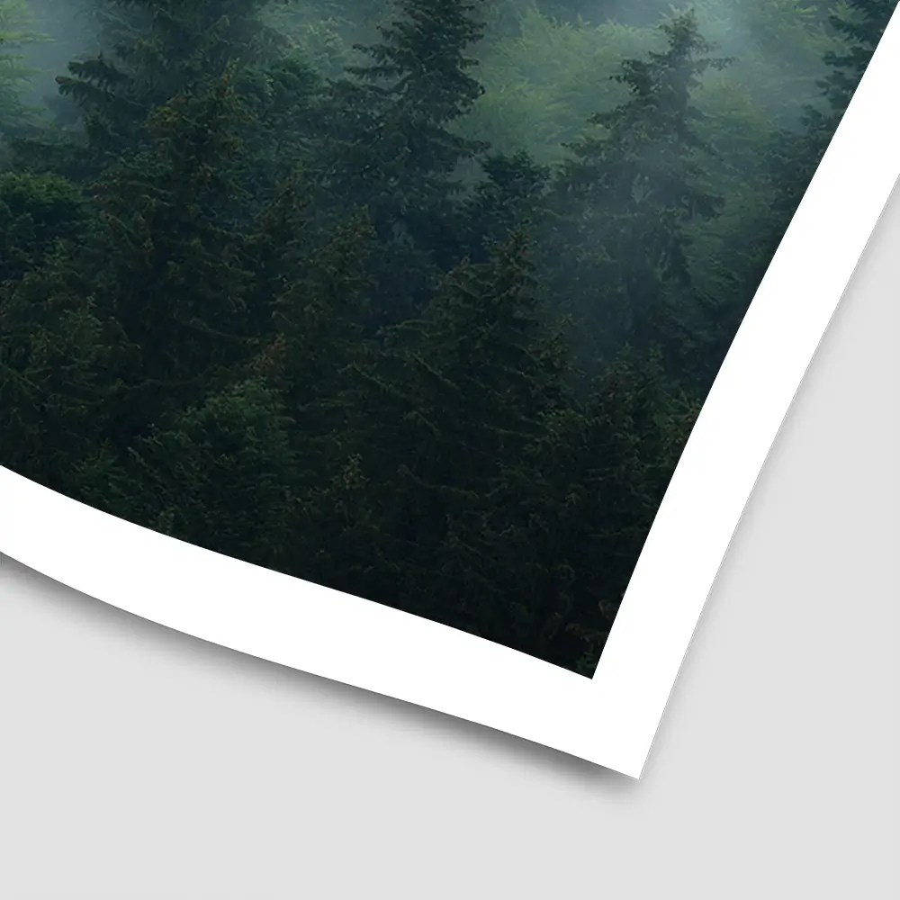 Fir Forest Square Art Print Fir Forest Square Art Print wall art product Roxana Bashyrova / Shutterstock