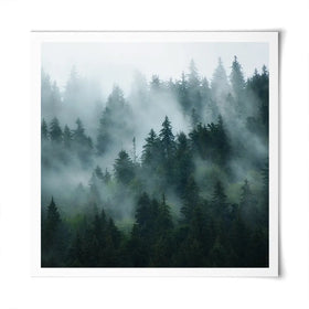 Fir Forest Square Art Print Fir Forest Square Art Print wall art product Roxana Bashyrova / Shutterstock
