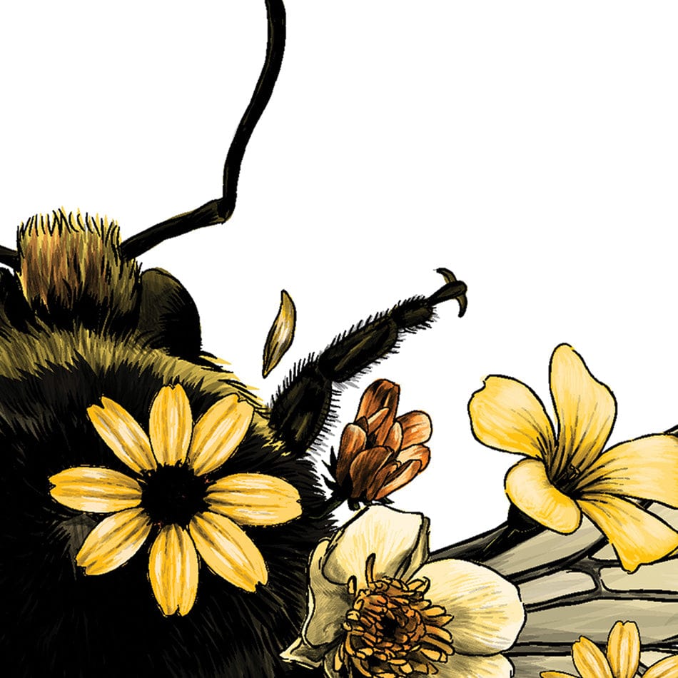 Floral Bumblebee Square Canvas Print wall art product Serafima Dashkevich / Shutterstock