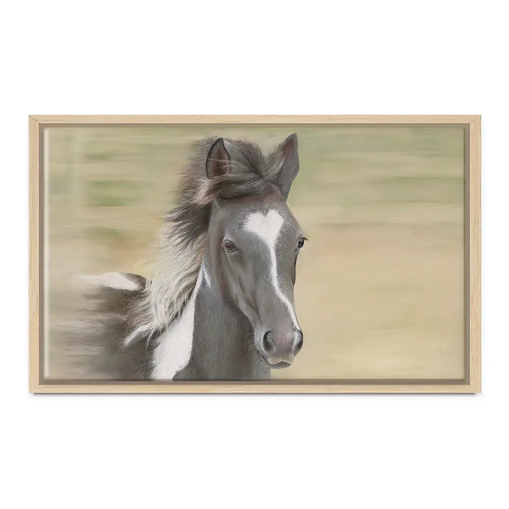 Flying Free Canvas Print Flying Free Canvas Print wall art product Georgie Turner