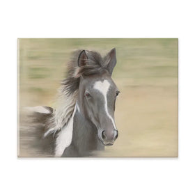 Flying Free Canvas Print Flying Free Canvas Print wall art product Georgie Turner