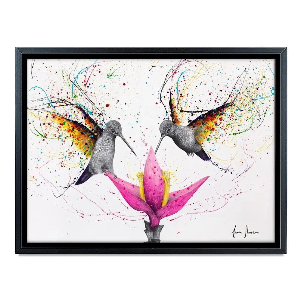 Friendship Hummingbirds Canvas Print Friendship Hummingbirds Canvas Print wall art product Ashvin Harrison