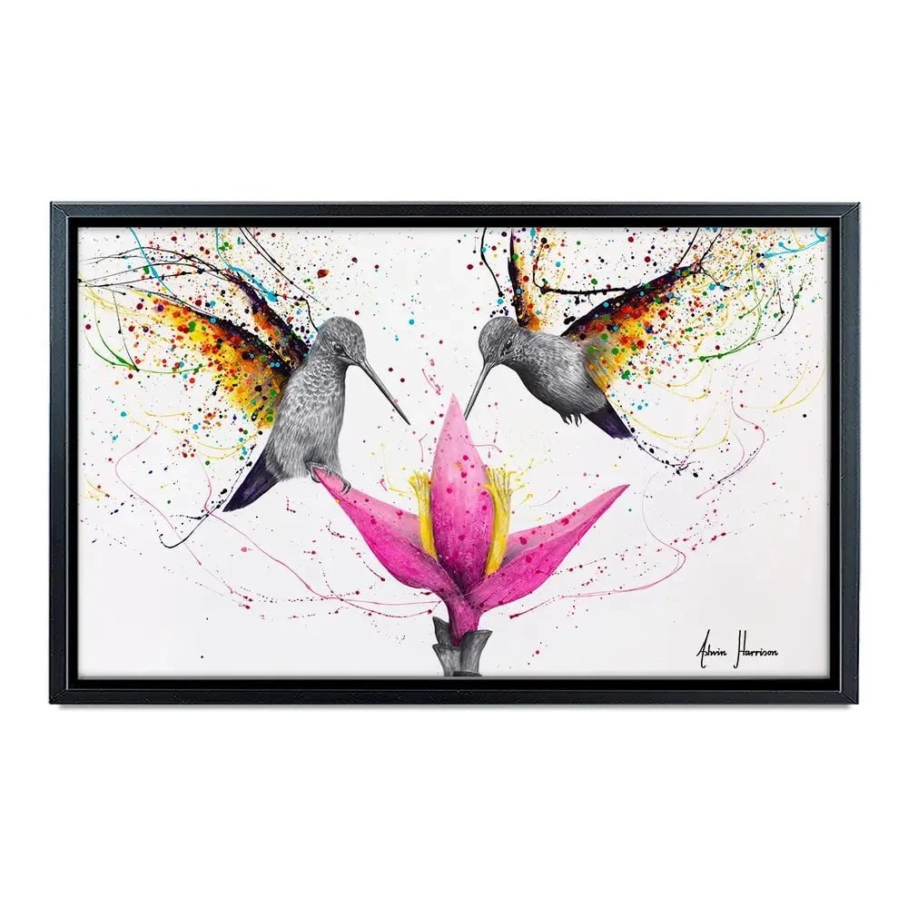 Friendship Hummingbirds Canvas Print Friendship Hummingbirds Canvas Print wall art product Ashvin Harrison