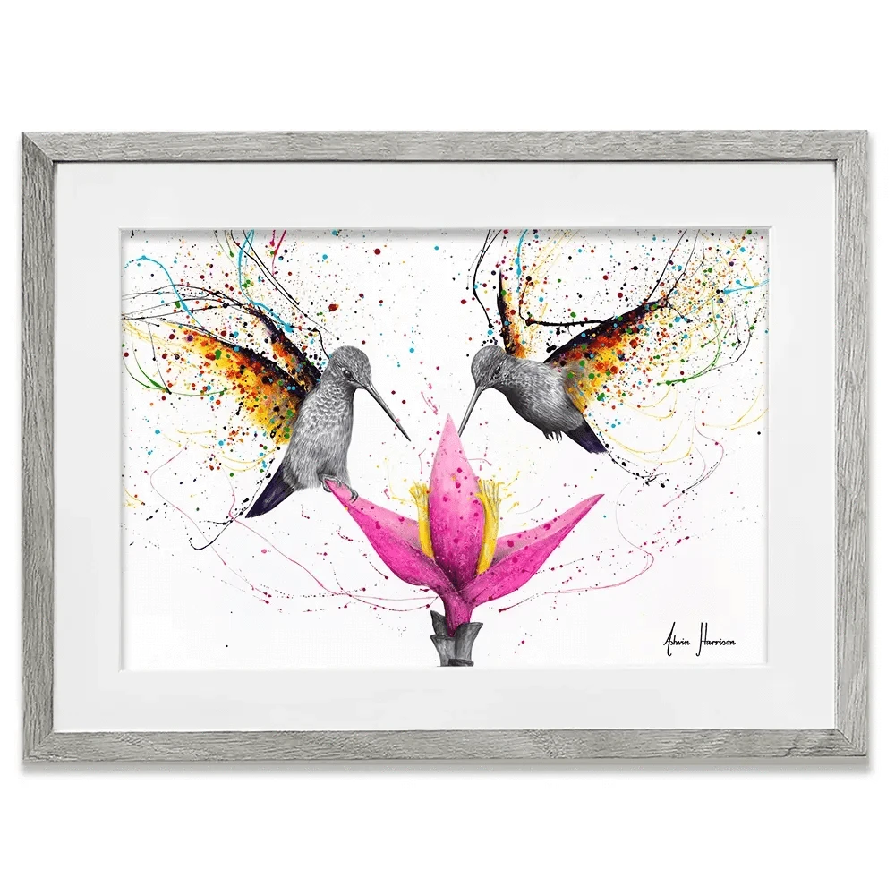 Friendship Hummingbirds Framed Art Print Friendship Hummingbirds Framed Art Print wall art product Ashvin Harrison