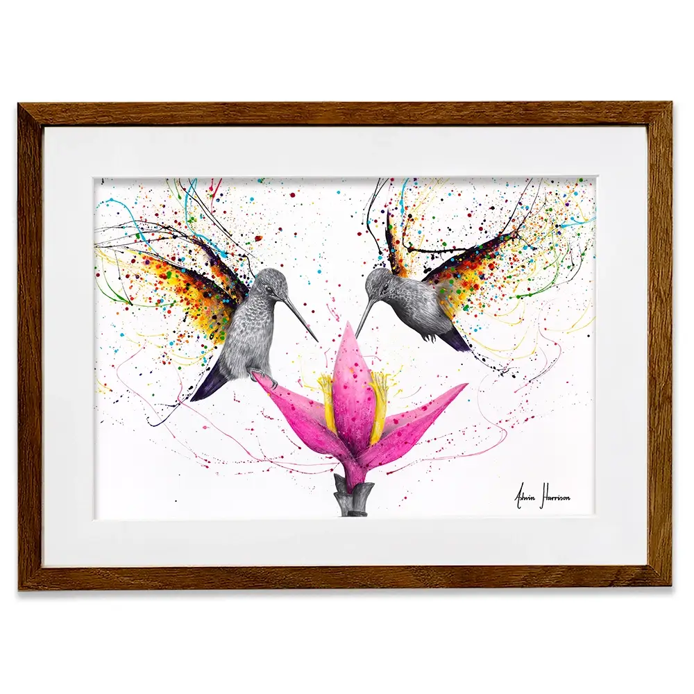 Friendship Hummingbirds Framed Art Print Friendship Hummingbirds Framed Art Print wall art product Ashvin Harrison