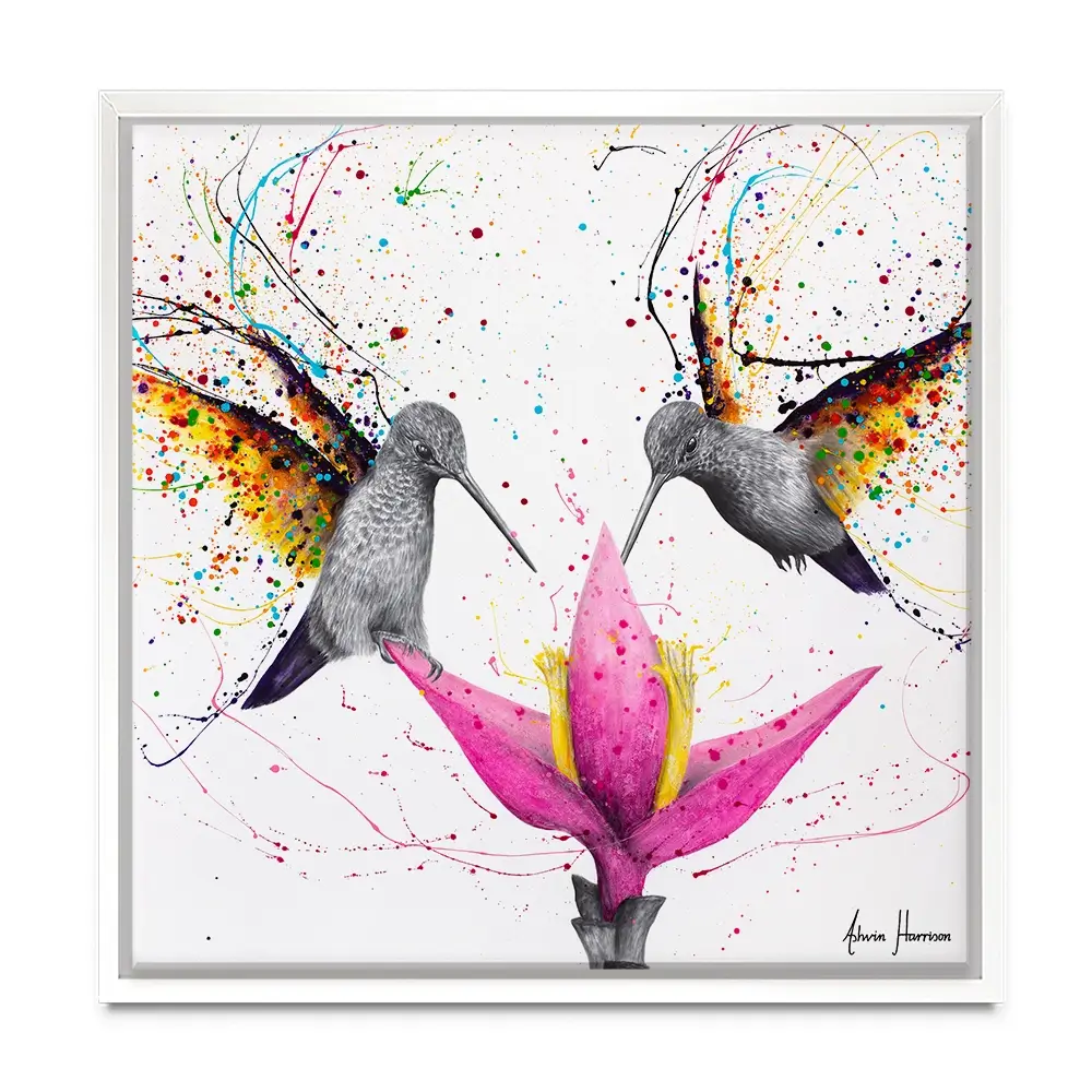 Friendship Hummingbirds Square Canvas Print Friendship Hummingbirds Square Canvas Print wall art product Ashvin Harrison