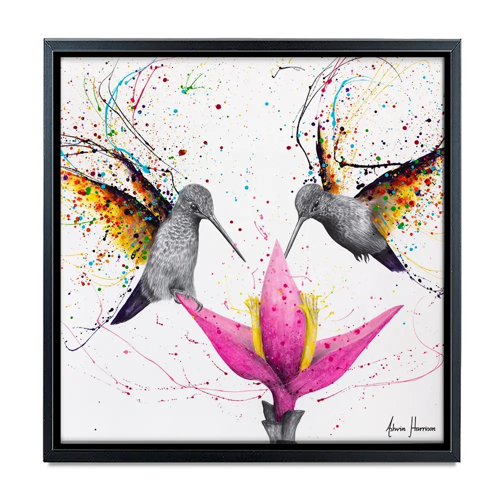 Friendship Hummingbirds Square Canvas Print Friendship Hummingbirds Square Canvas Print wall art product Ashvin Harrison