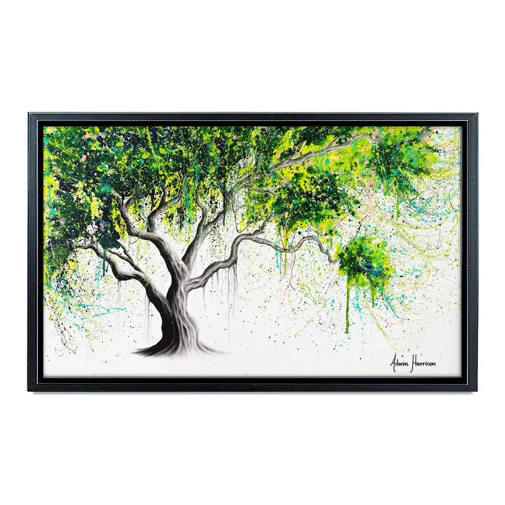 Funky Fig Tree Canvas Print Funky Fig Tree Canvas Print wall art product Ashvin Harrison