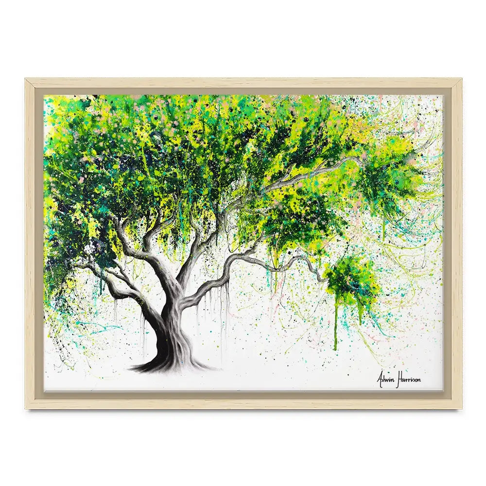 Funky Fig Tree Canvas Print Funky Fig Tree Canvas Print wall art product Ashvin Harrison
